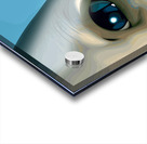 Ex·​tra·​ter·​res·​tri·​al Acrylic print