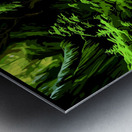 Mise-en-scene Metal print